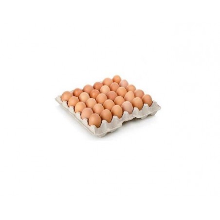 Alvéoles œufs GM