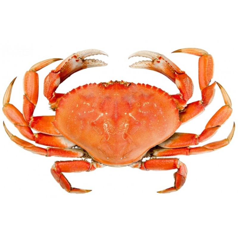 Crabes (1Kg)